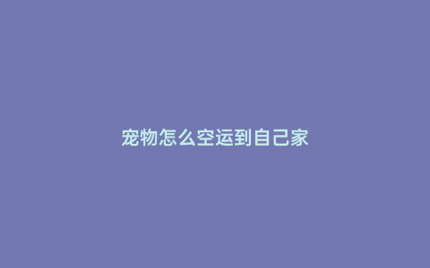 寵物怎么空運到自己家